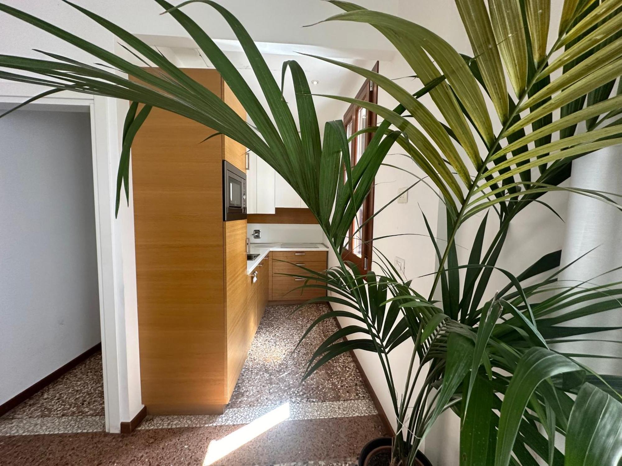 Ca' D'Oro Suite Βενετία Εξωτερικό φωτογραφία